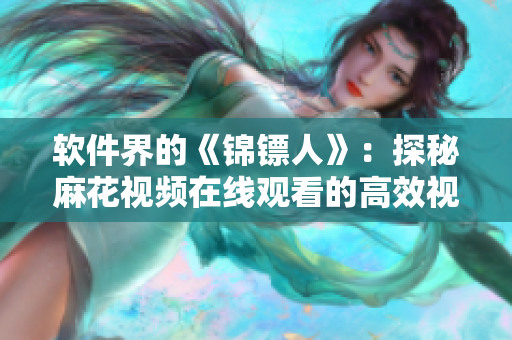 软件界的《锦镖人》：探秘麻花视频在线观看的高效视频播放技术
