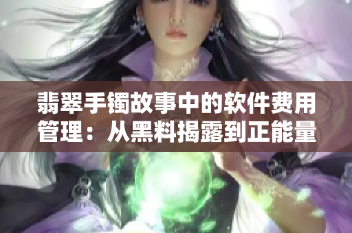 翡翠手镯故事中的软件费用管理:从黑料揭露到正能量引领 翡翠手镯故事中的软件费用管理:从黑料揭露到正能量引领