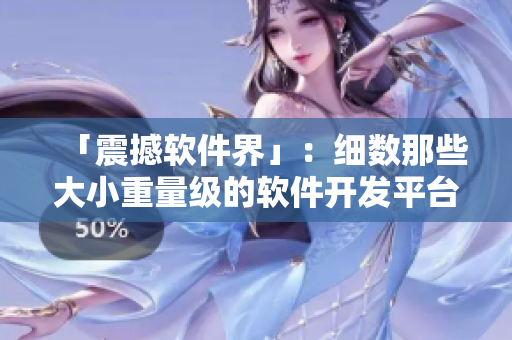 「震撼软件界」：细数那些大小重量级的软件开发平台