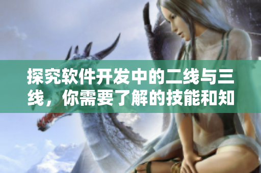 探究软件开发中的二线与三线，你需要了解的技能和知识点!