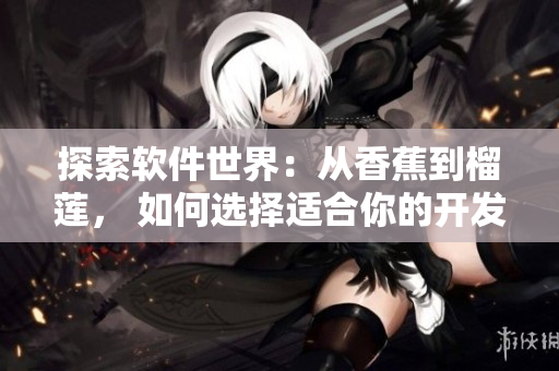 探索软件世界:从香蕉到榴莲, 如何选择适合你的开发语言与工具 探索软件世界:从香蕉到榴莲, 如何选择适合你的开发语言与工具