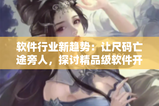 软件行业新趋势:让尺码亡途旁人,探讨精品级软件开发 软件行业新趋势:让尺码亡途旁人,探讨精品级软件开发