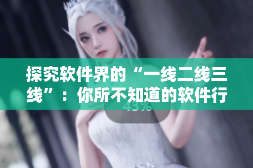 探究软件界的“一线二线三线”：你所不知道的软件行业层级