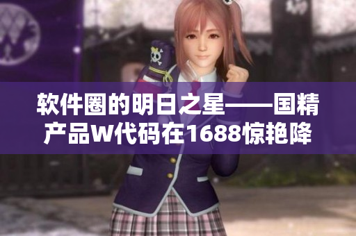软件圈的明日之星——国精产品W代码在1688惊艳降临！