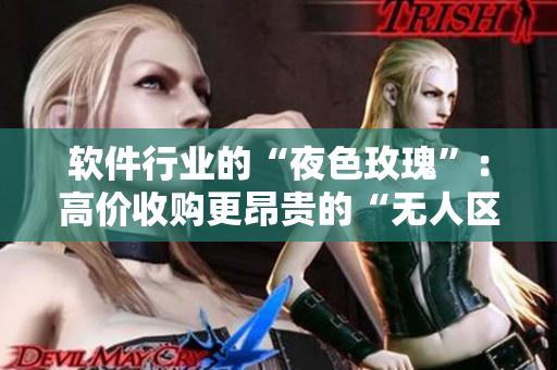 软件行业的“夜色玫瑰”:高价收购更昂贵的“无人区”技术优势? 软件行业的“夜色玫瑰”:高价收购更昂贵的“无人区”技术优势?